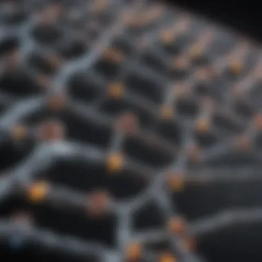 Key Components of DNA Annealing Buffers Diagram illustrating the components of a DNA annealing buffer