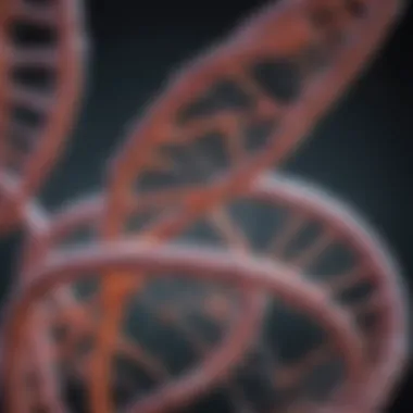 The Interaction of DNA in Annealing Buffers Visual representation of DNA strands in a buffer solution