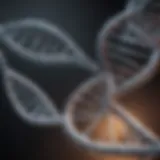 DNA double helix structure