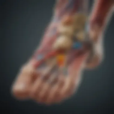 Anatomy of the foot highlighting areas affected by numbness