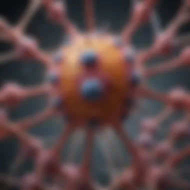 HPV Cell Structure Visual representation of HPV cell structure