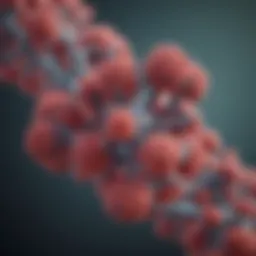 Illustration depicting the structure of immunoglobulin E