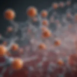 Illustration depicting the chemical structure of oxalate and its metabolic pathways.