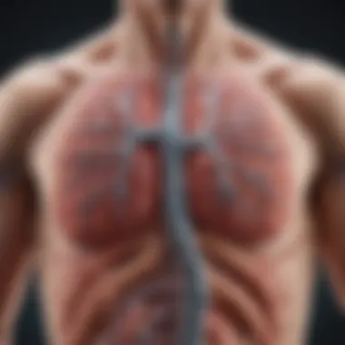 Mechanism of Long Acting Bronchodilators Diagram illustrating the mechanism of action of long acting bronchodilators in COPD