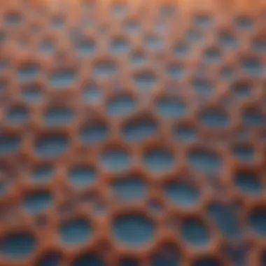 Microscopic Analysis of Membrane Pores Microscopic view of membrane pore structure