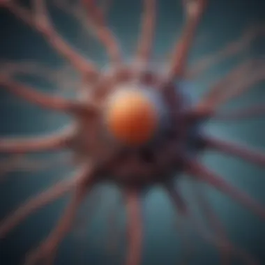 Motor Neuron Degeneration Mechanism Illustration of motor neuron degeneration