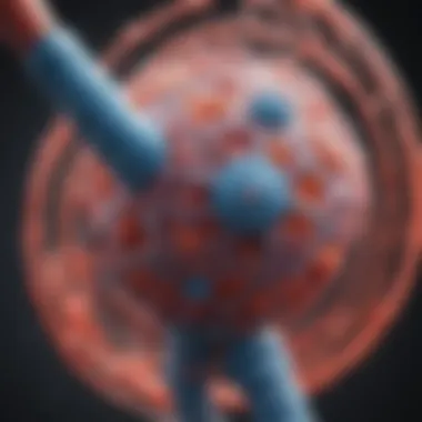 Mr Protein Interacting with Cellular Components Diagram illustrating the interaction of Mr Protein with cellular components