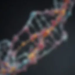 Illustration of mRNA structure showing nucleotide composition
