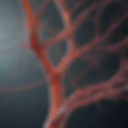Illustration depicting the neural pathways affected by diabetes.