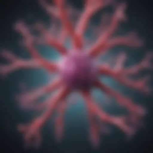 Illustration of nitric oxide synthase enzyme structure