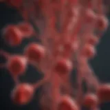Detailed representation of platelets in blood circulation