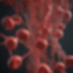 Detailed representation of platelets in blood circulation