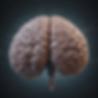 Visual representation of the brain showing areas affected by PMSD