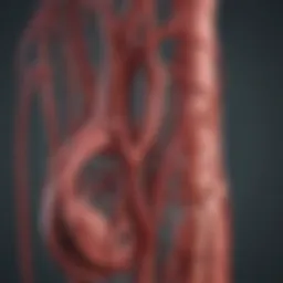 Illustration of renal artery anatomy highlighting cancerous growth