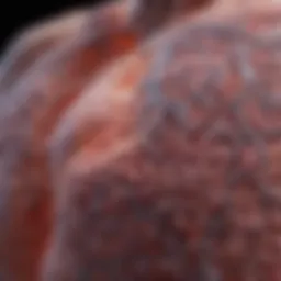 Genetic predisposition to lung cancer