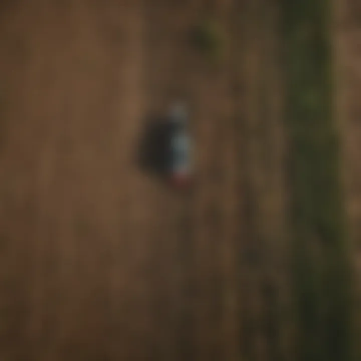Aerial view of diverse crops in rotational farming