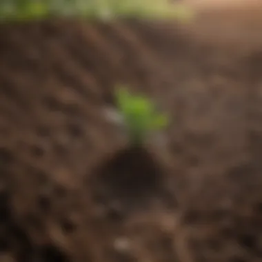 Soil health benefits of rotational cropping Healthy soil profile enhanced by crop rotation