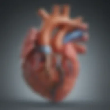 Visual representation of right ventricle dysfunction mechanisms and pathophysiology.