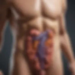 Conceptual illustration of pancreatitis