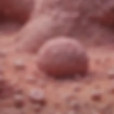 Distinguishing Benign from Malignant Masses Comparison between benign and malignant spiculated masses