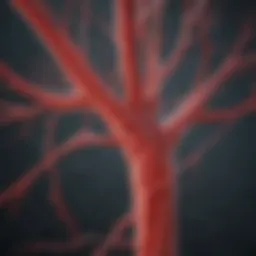 Illustration depicting the blood vessels affected by temporal arteritis