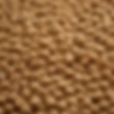 Close-up of textured soy protein granules showcasing its unique texture