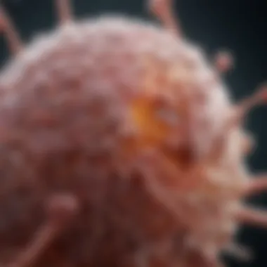 Immunological Influences on Mycosis Fungoides Illustration showing immunological influences on mycosis fungoides.