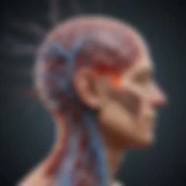 Neurological Pathways in Migraines Illustration depicting the neurological pathways involved in migraines.