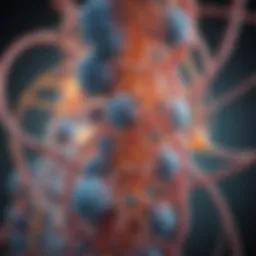 Genetic structure of the CFTR gene