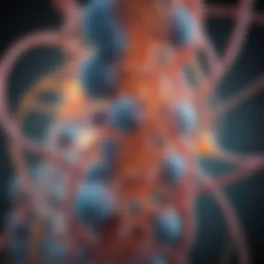 Detailed structure of the CFTR gene Genetic structure of the CFTR gene