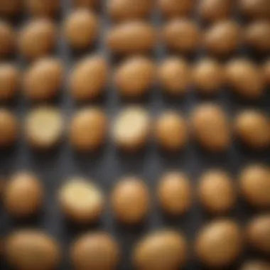 An infographic illustrating glycemic index levels among different potato preparations.