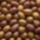 A diverse array of potato varieties showcasing their skin and flesh colors.