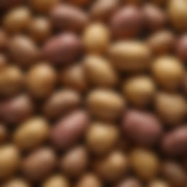 A diverse array of potato varieties showcasing their skin and flesh colors.