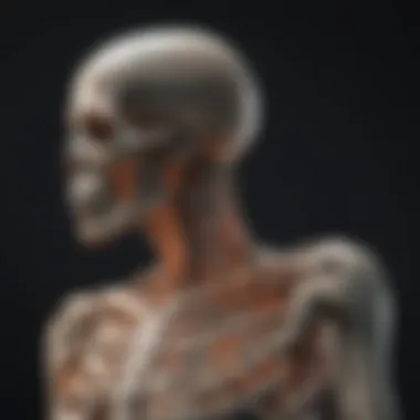 Visualization of skeletal system changes due to muscular dystrophy