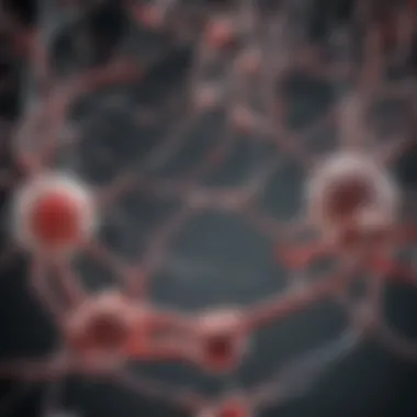 Schematic of GABAergic and glutamatergic interactions