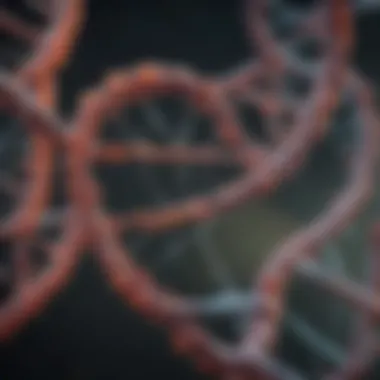 Visualization of DNA repair mechanisms