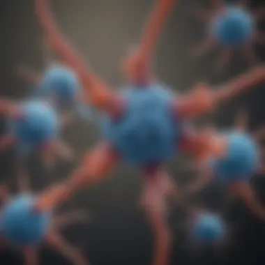 Acetylcholine Receptors and Antibody Interaction Visual representation of acetylcholine receptors and their interaction with antibodies