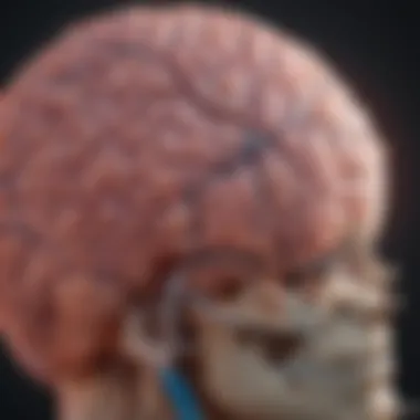 Diagnostic Modalities for Pontine Glioma Diagram illustrating diagnostic techniques for pontine glioma