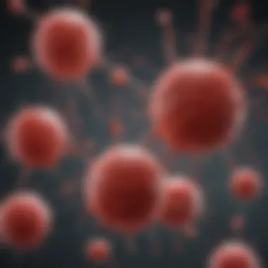 Mechanisms of Bleeding in Leukemia Illustration depicting the mechanisms of bleeding in leukemia patients