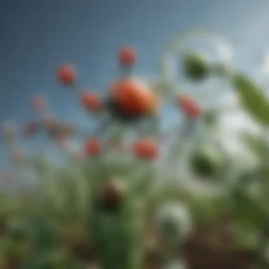 Chemical Structures of Common Pesticides Chemical structure of common pesticides used in farming