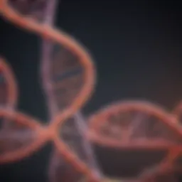 Diagram illustrating the transcription of DNA to RNA