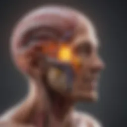 An illustration depicting various tumour grading systems