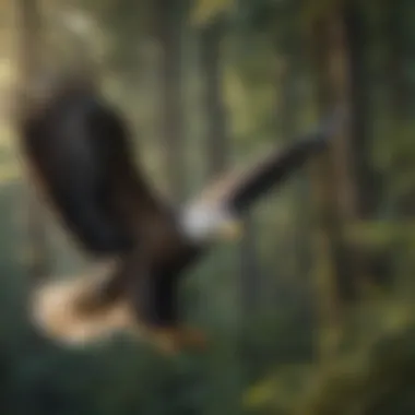 A majestic bald eagle soaring above a lush forest