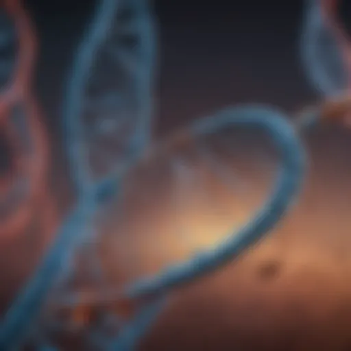 Diagram showing various types of DNA vectors used in genetic engineering