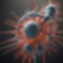 Diagram illustrating the mechanism of action of venetoclax in targeting BCL-2