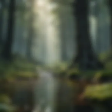 Natural Carbon Sinks A lush forest representing natural carbon sinks